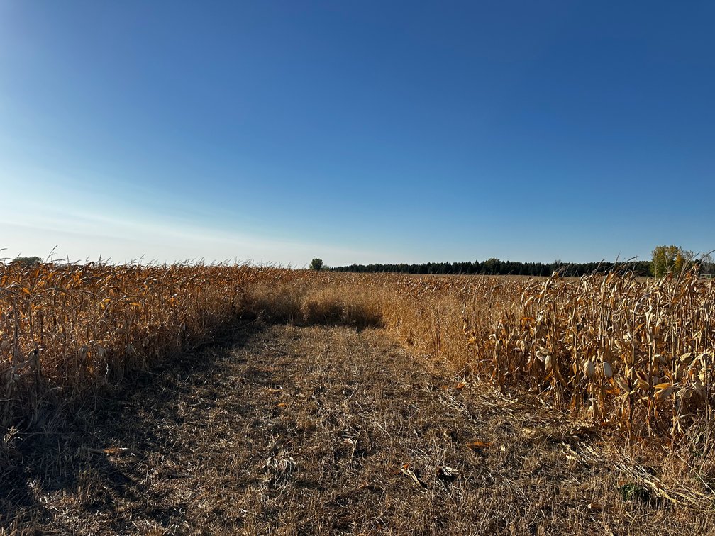 Image for Stearns County - Fuchs Family - Farm Land Auction