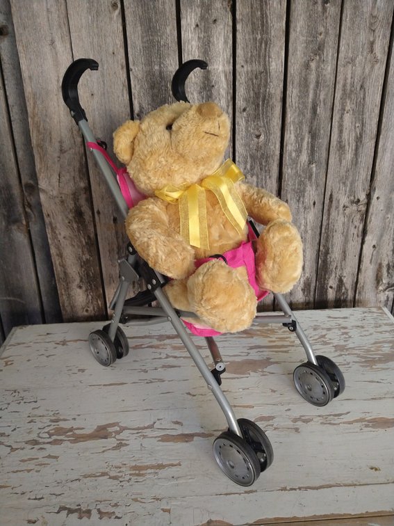 Doll Stroller and Teddy Bear