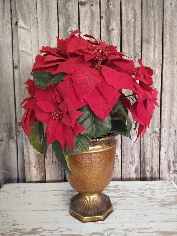 Poinsettia holder