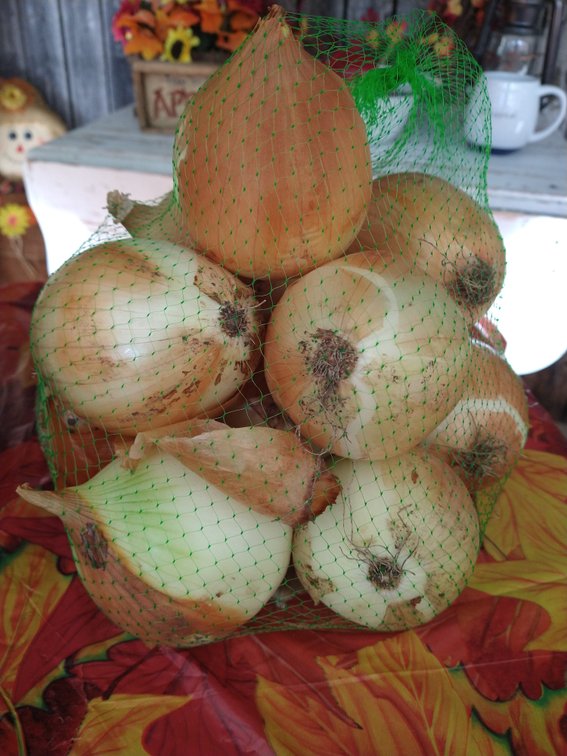  Sweet Yellow Onions.