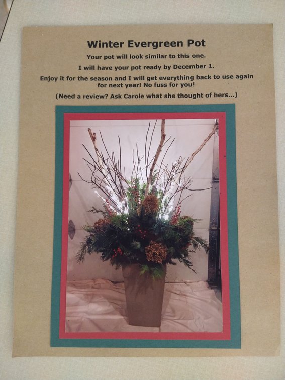 Evergreen Pot. 