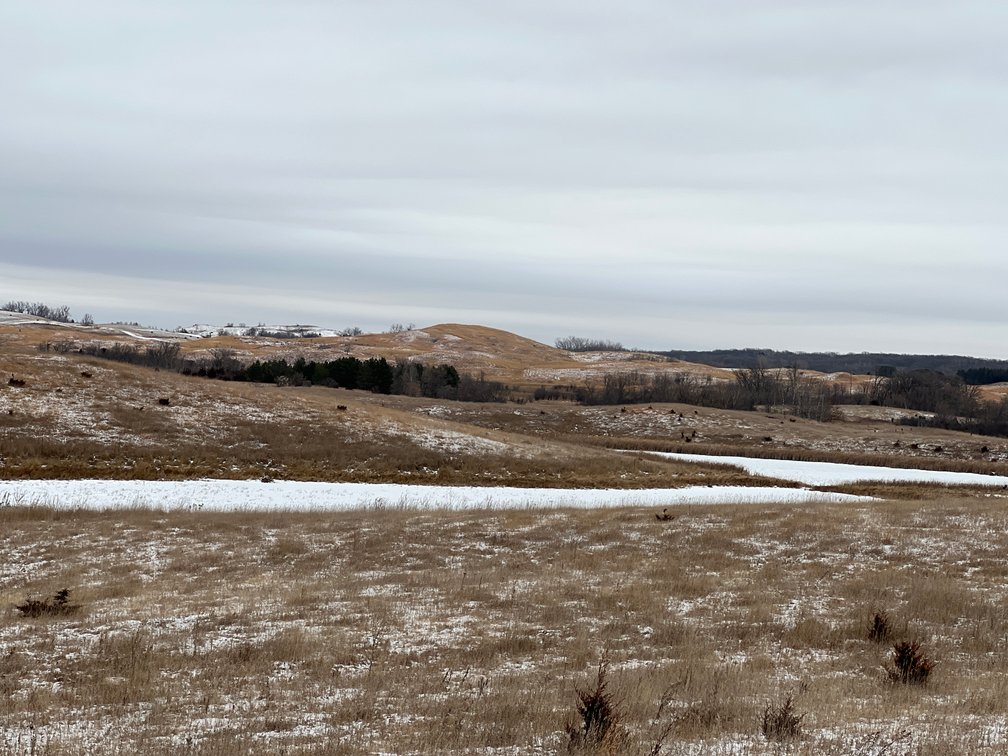 Image for Pope County - Patrick & Jenessa Huston - Pasture/Hunting Land Auction