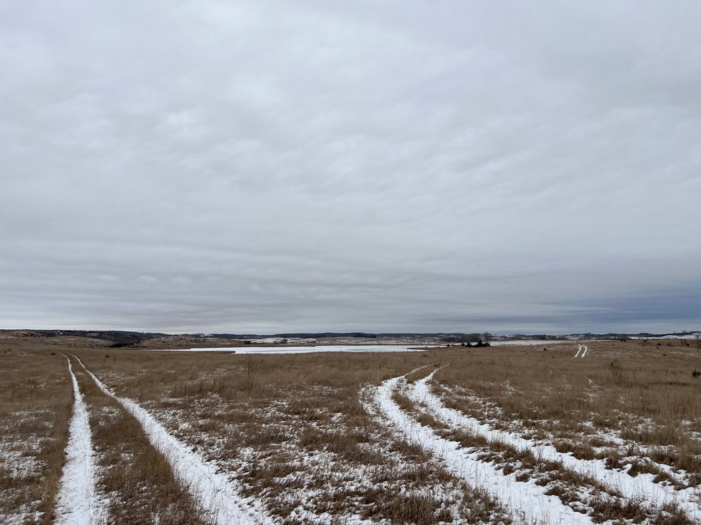 Image for Pope County - Patrick & Jenessa Huston - Pasture/Hunting Land Auction