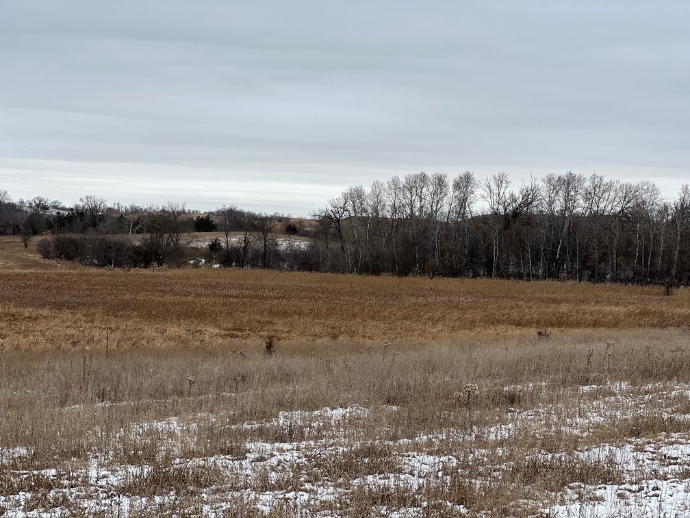 Image for Pope County - Patrick & Jenessa Huston - Pasture/Hunting Land Auction