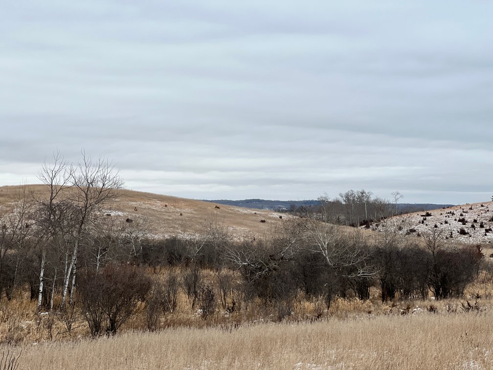 Image for Pope County - Patrick & Jenessa Huston - Pasture/Hunting Land Auction