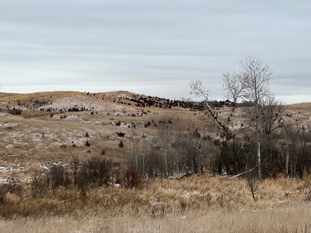 Image for Pope County - Patrick & Jenessa Huston - Pasture/Hunting Land Auction