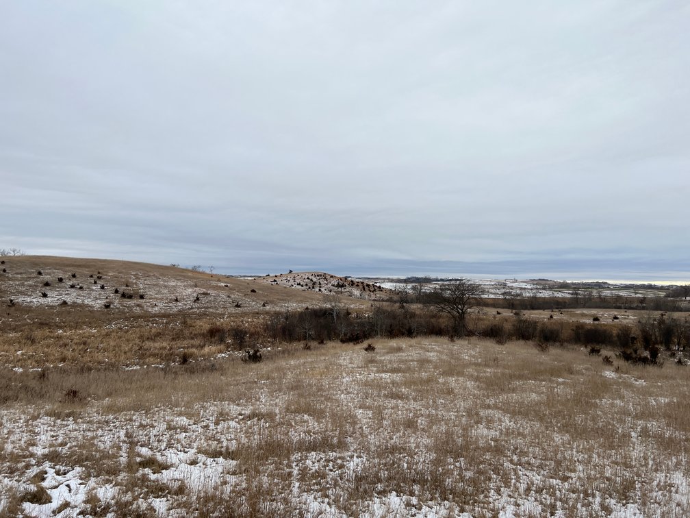 Image for Pope County - Patrick & Jenessa Huston - Pasture/Hunting Land Auction
