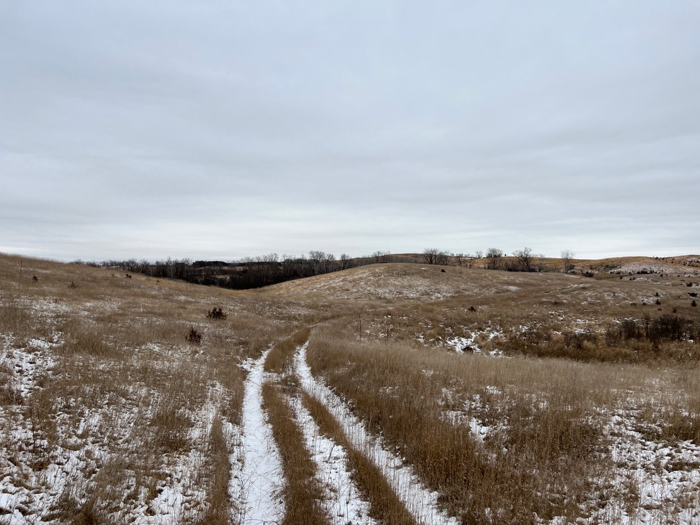 Image for Pope County - Patrick & Jenessa Huston - Pasture/Hunting Land Auction