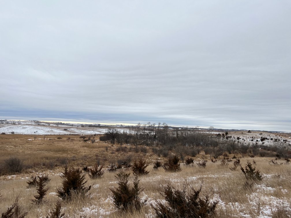 Image for Pope County - Patrick & Jenessa Huston - Pasture/Hunting Land Auction