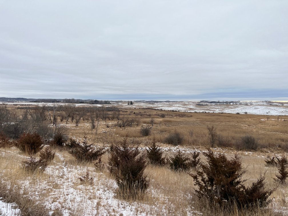 Image for Pope County - Patrick & Jenessa Huston - Pasture/Hunting Land Auction