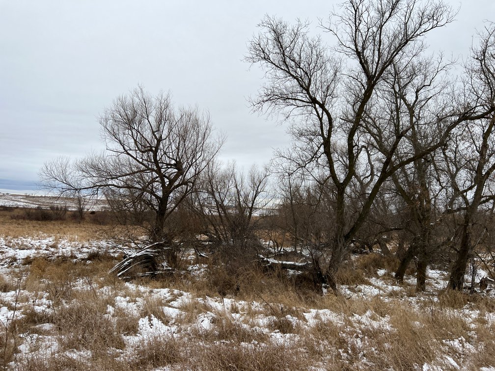 Image for Pope County - Patrick & Jenessa Huston - Pasture/Hunting Land Auction