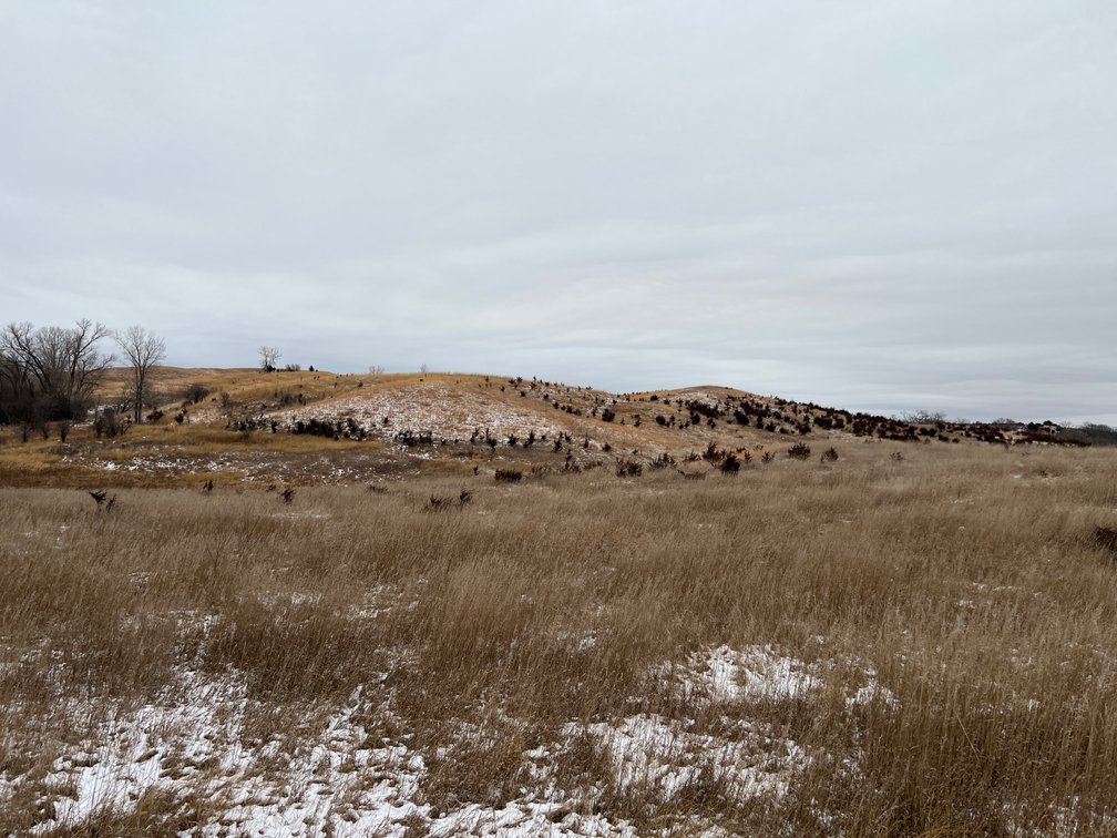 Image for Pope County - Patrick & Jenessa Huston - Pasture/Hunting Land Auction