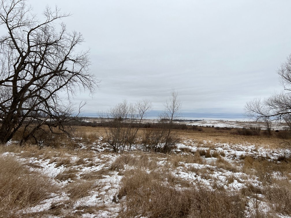 Image for Pope County - Patrick & Jenessa Huston - Pasture/Hunting Land Auction