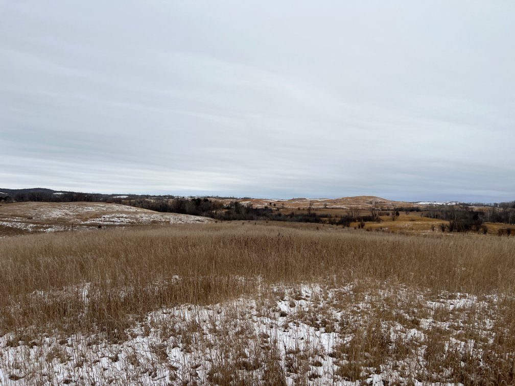 Image for Pope County - Patrick & Jenessa Huston - Pasture/Hunting Land Auction
