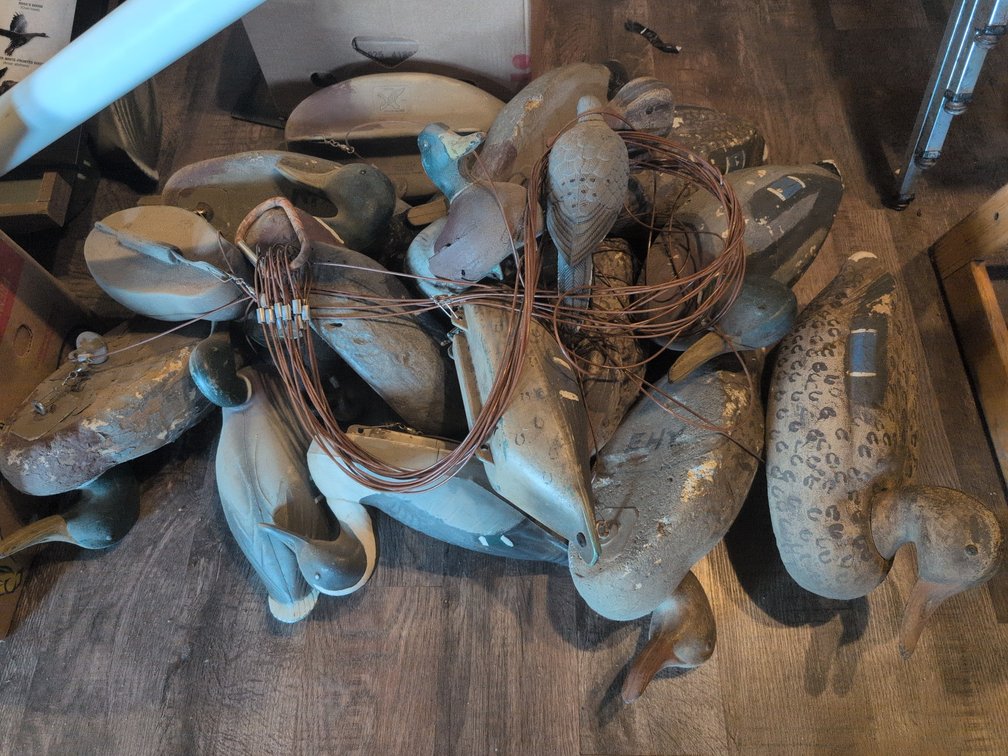 DUCK DECOYS