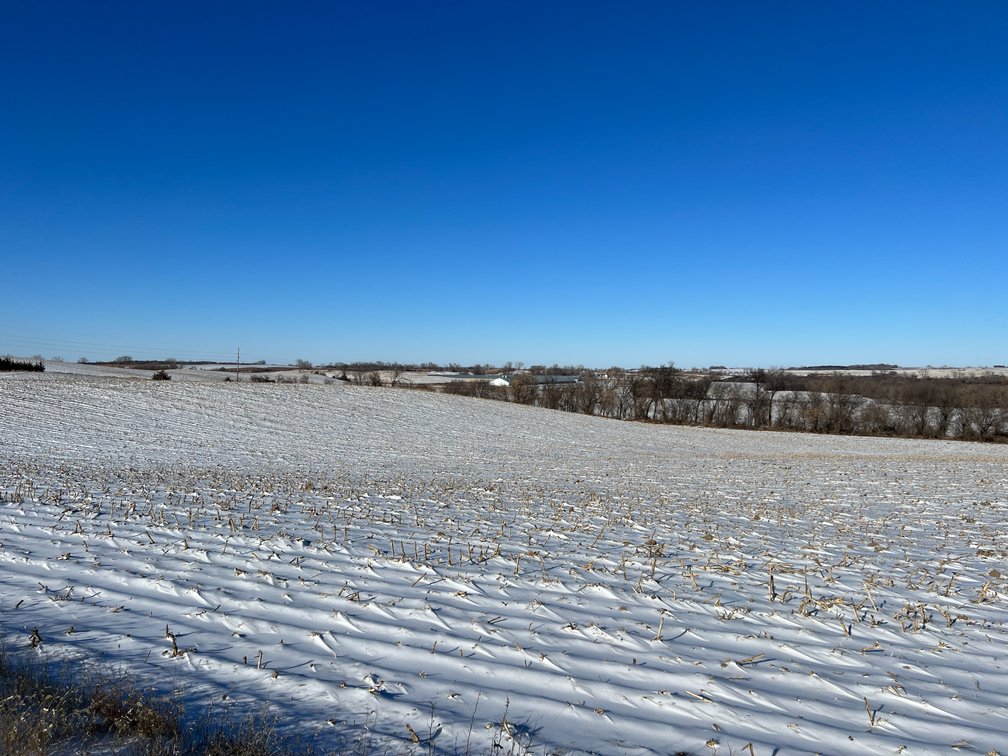 Image for Pope County - Brian & Laura Jergenson Land Auction