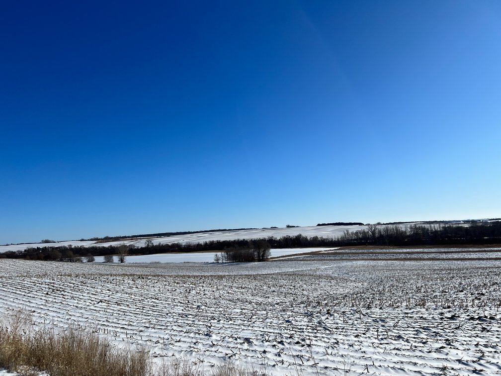Image for Pope County - Brian & Laura Jergenson Land Auction