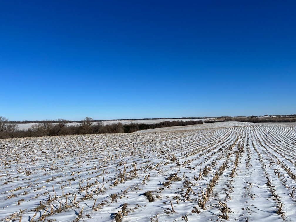 Image for Pope County - Brian & Laura Jergenson Land Auction