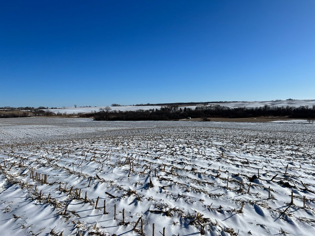 Image for Pope County - Brian & Laura Jergenson Land Auction