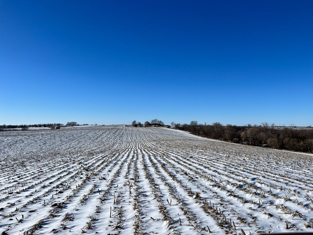 Image for Pope County - Brian & Laura Jergenson Land Auction