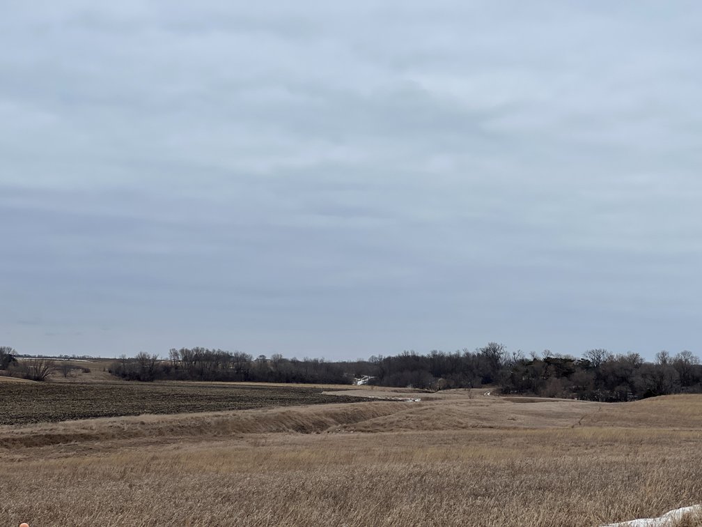 Image for Yellow Medicine County - Rosetter Land Auction