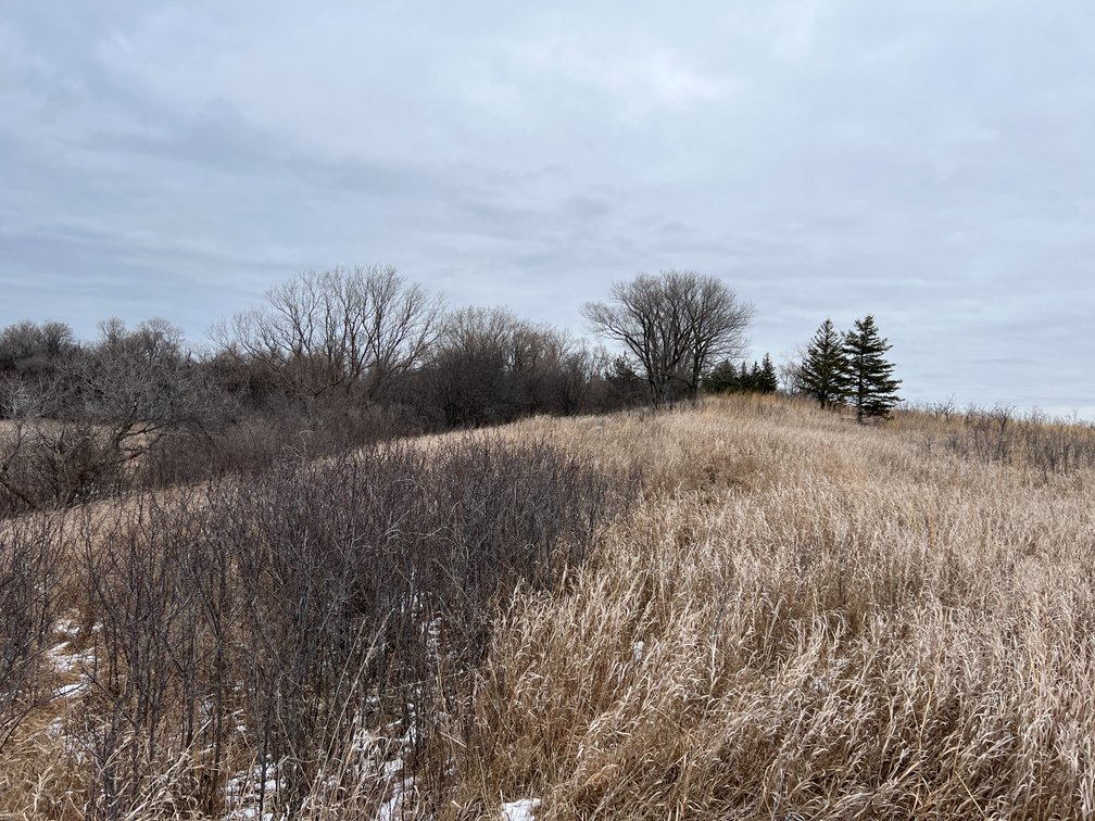 Image for Yellow Medicine County - Rosetter Land Auction