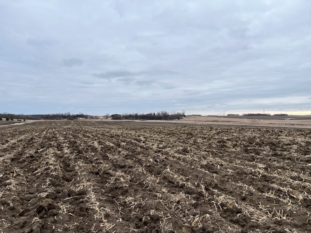 Image for Yellow Medicine County - Rosetter Land Auction