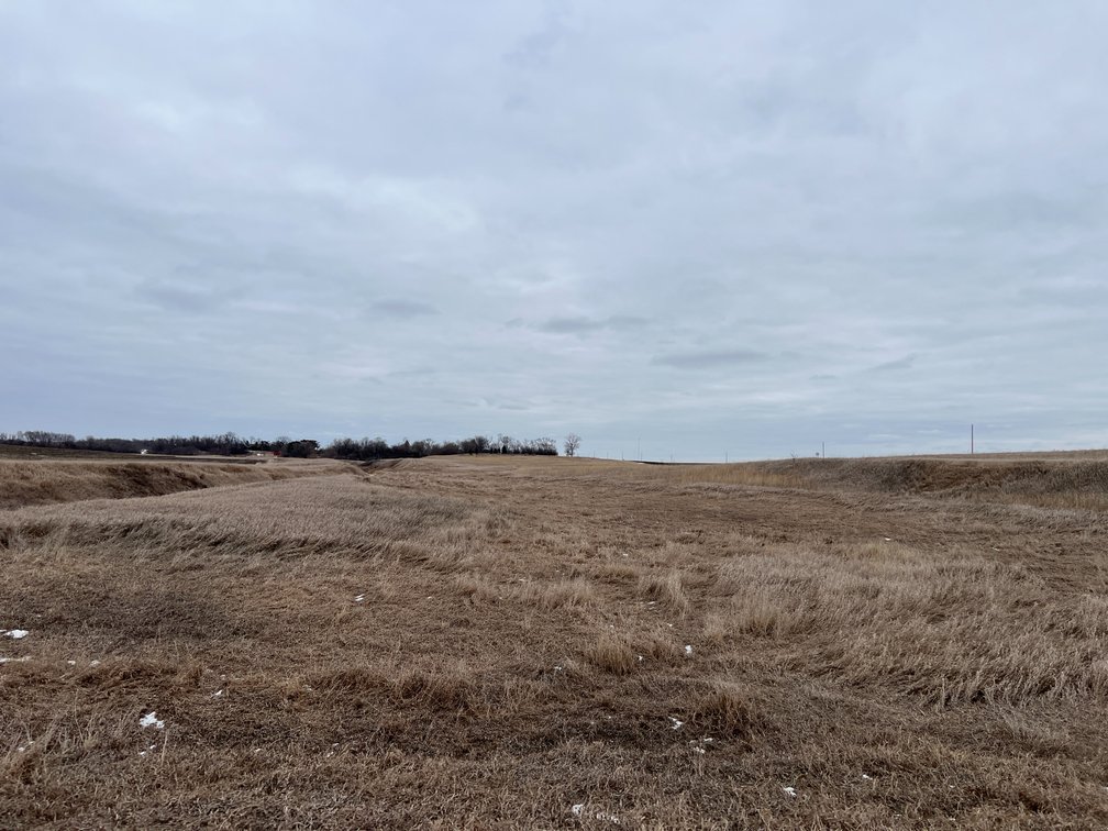 Image for Yellow Medicine County - Rosetter Land Auction