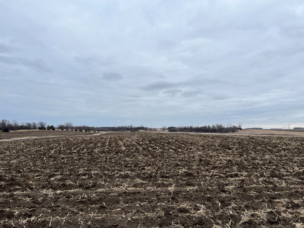 Image for Yellow Medicine County - Rosetter Land Auction