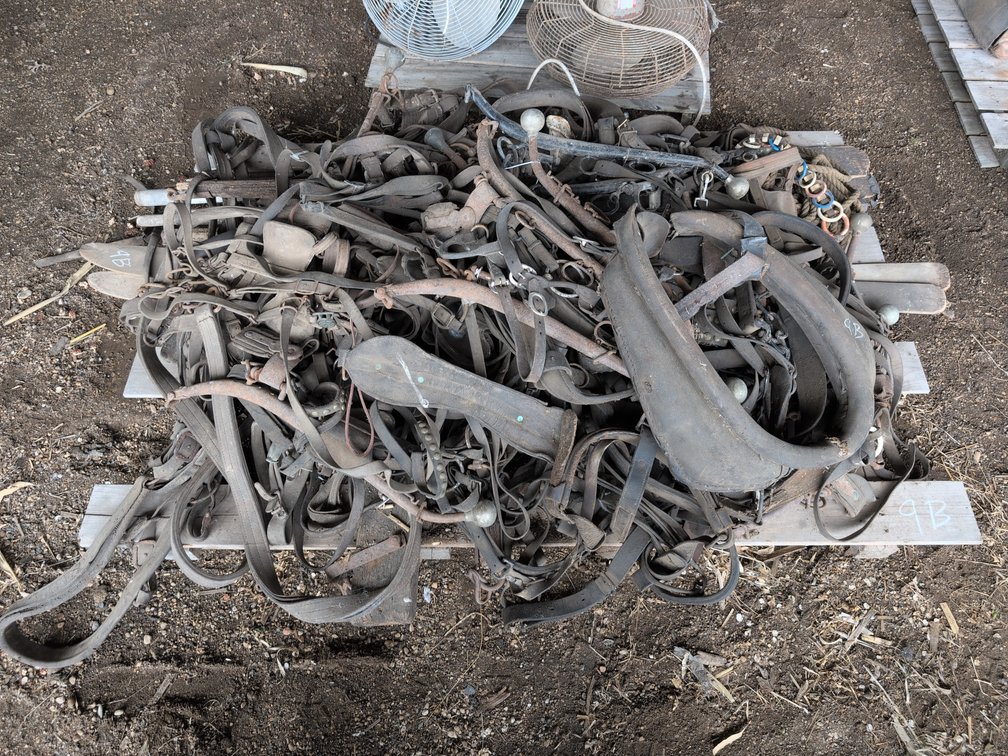 HORSE TACK