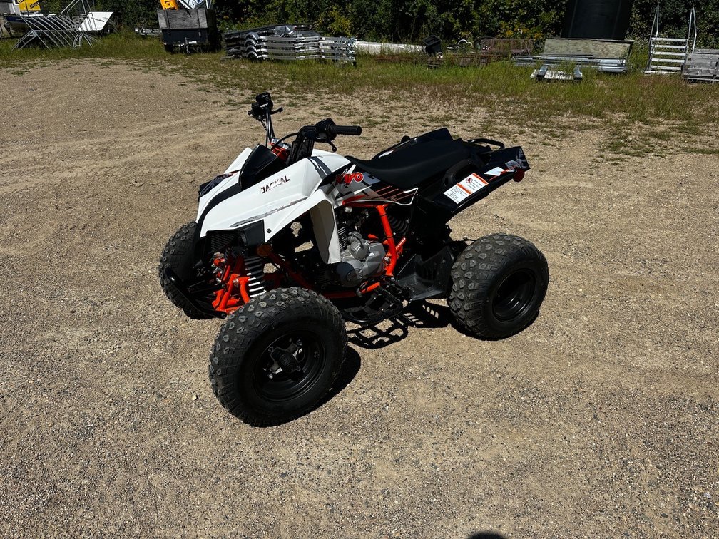 NEW 2022 KAYO JACKAL 200 ATV (CARRYOVER MODEL)