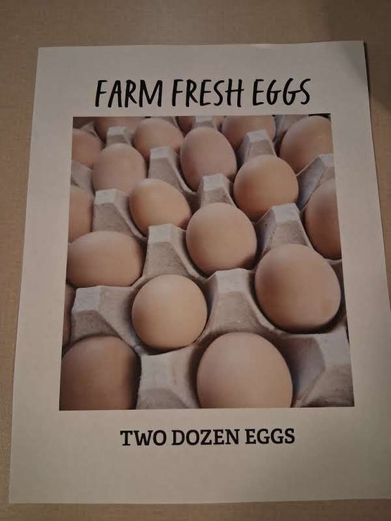 2 DOZEN FARM FRESH EGGS