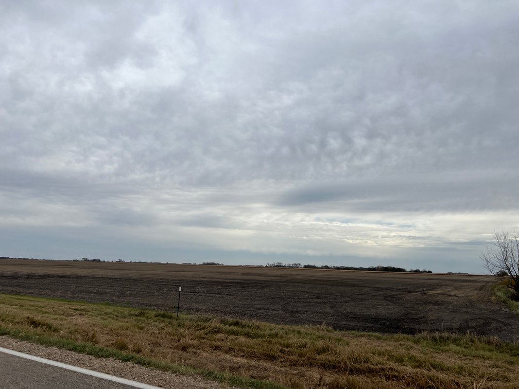 Image for ABSOLUTE Online Only Stevens County Farmland Auction