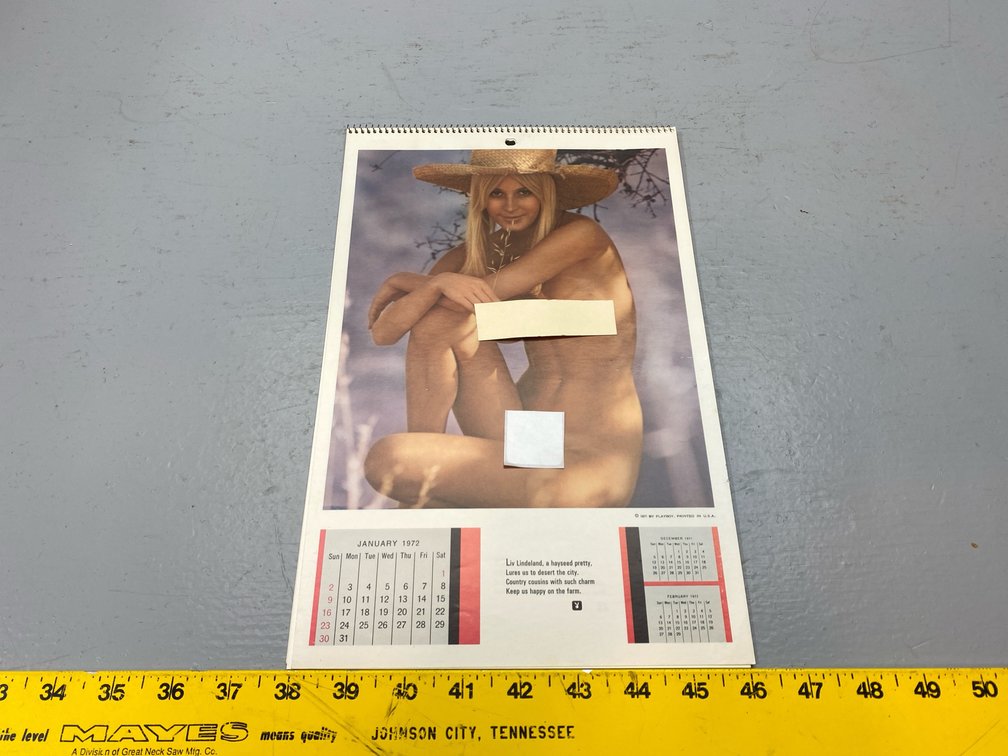 PIN UP CALENDAR