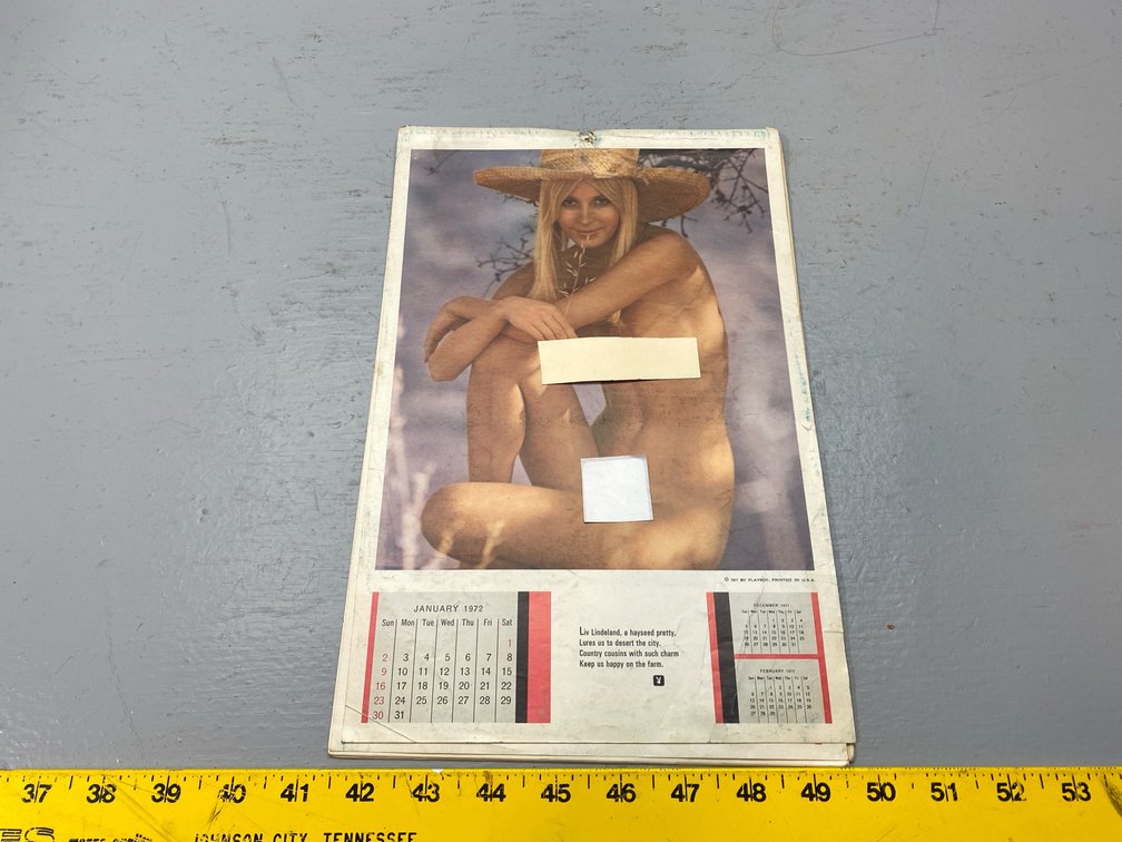 PIN UP CALENDAR
