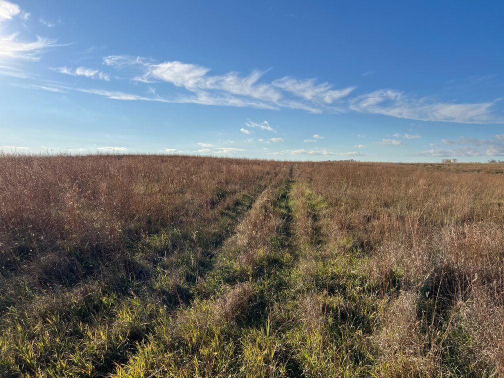 Image for Online Only Swift County Land Auction