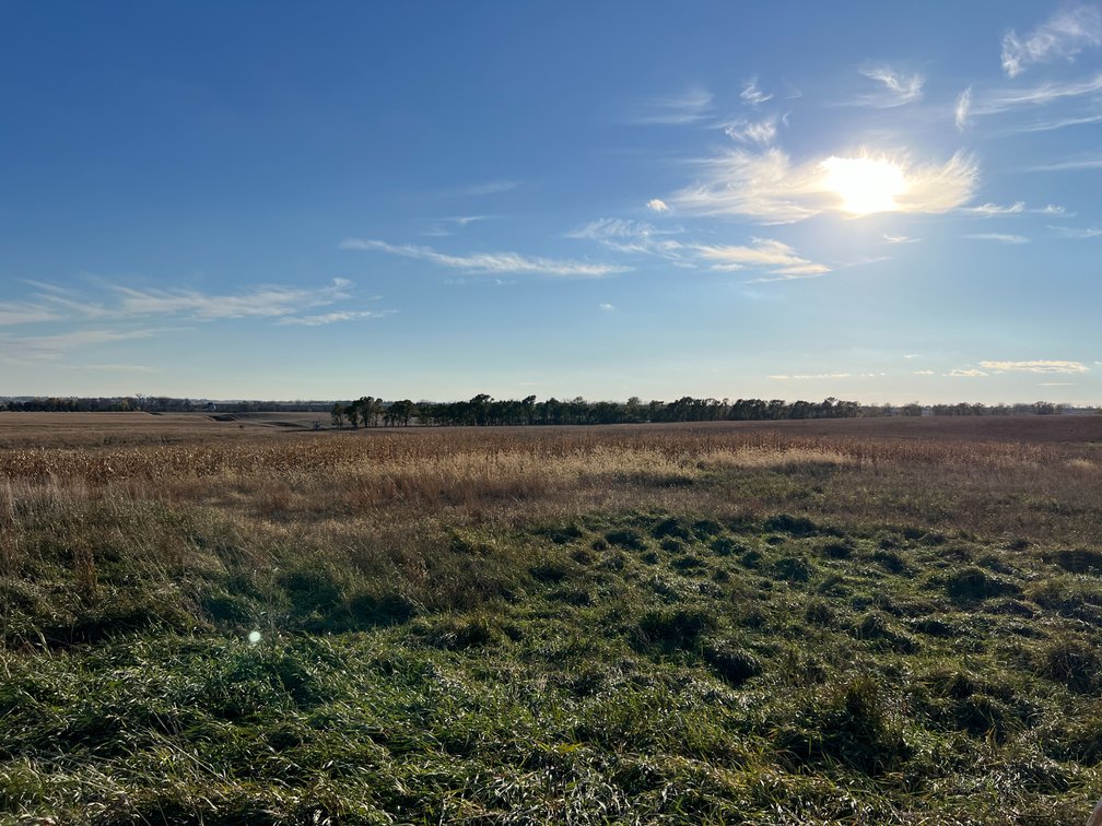 Image for Online Only Swift County Land Auction