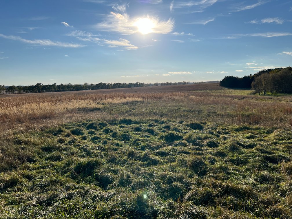 Image for Online Only Swift County Land Auction