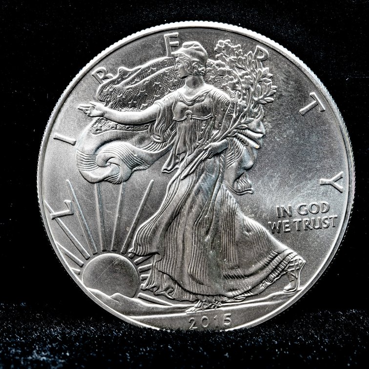 2015 American Silver Eagle 1 oz Coin