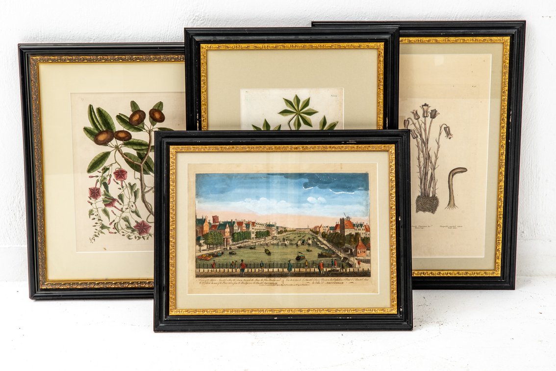Framed Colored Prints - Amsterdam & Botanicals
