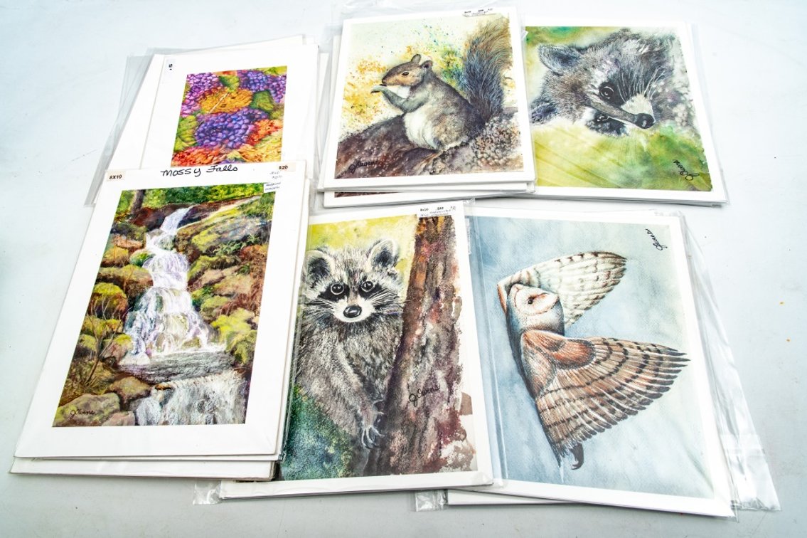 S/N Jamie Owens Framed Watercolor Prints
