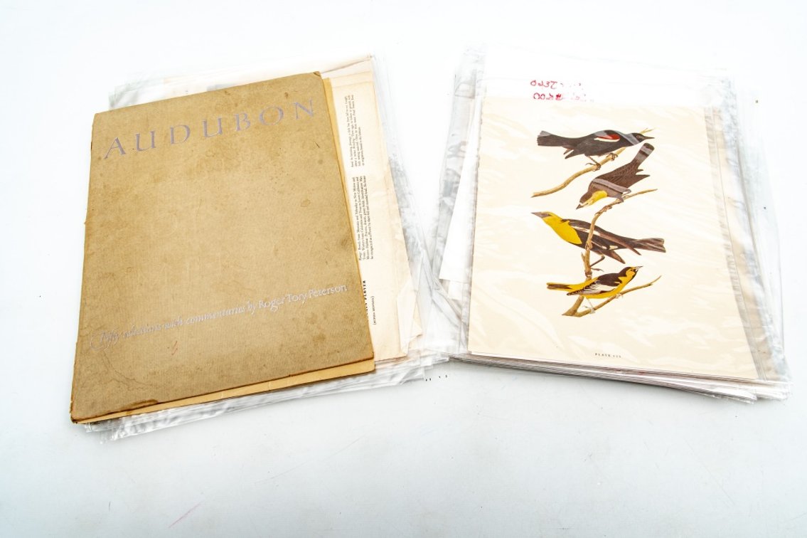 Audubon & Roger Troy Peterson Prints