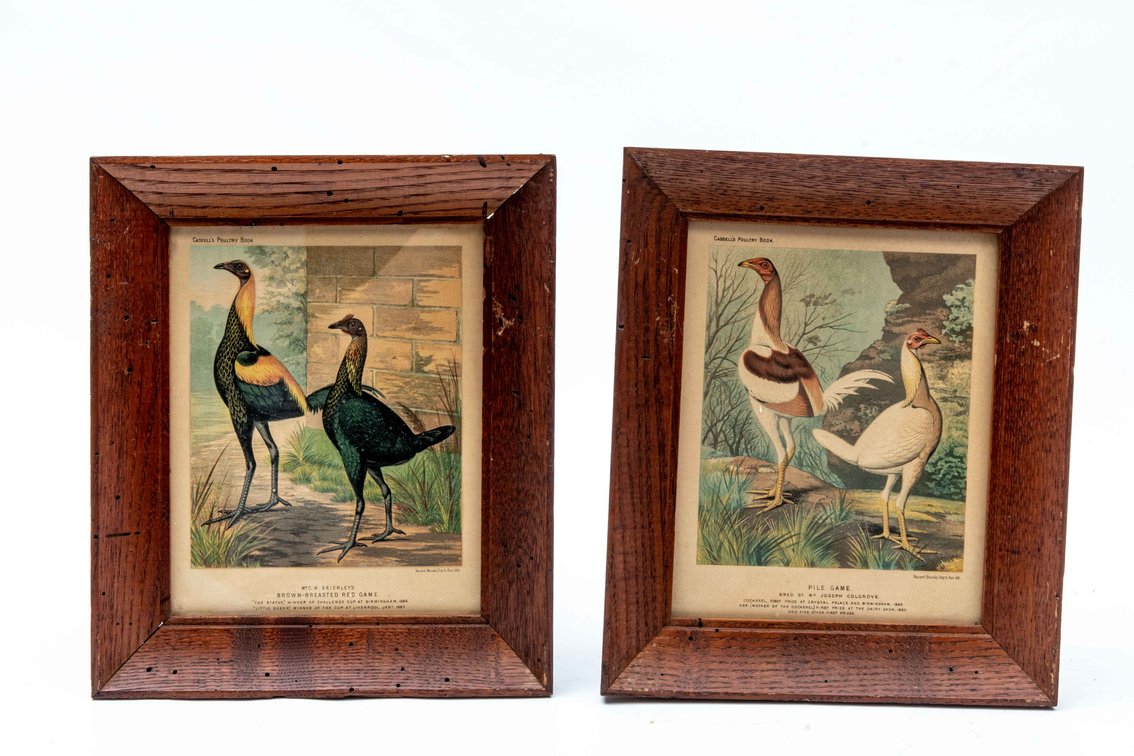 Cassell's Poultry Book Framed Litho Prints