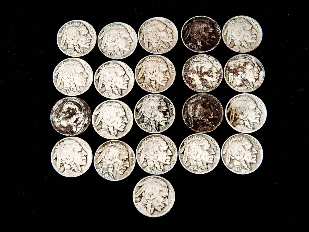 Buffalo Head Nickels
