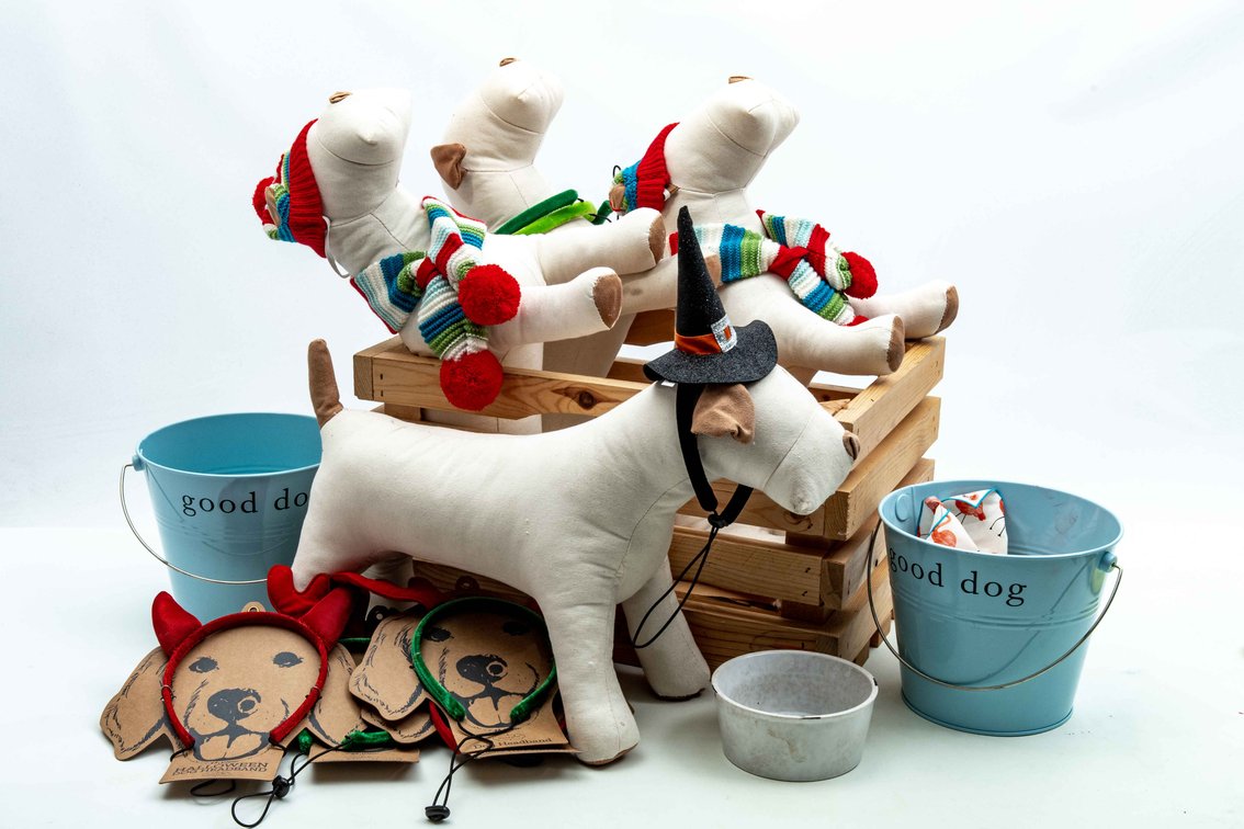 Adorable Dog Accessories and Dog Models