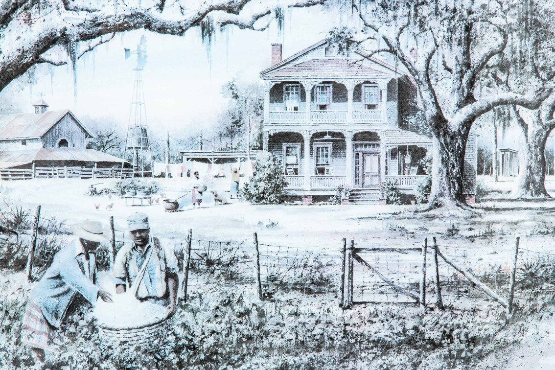 Sea Island Cotton LE Print by Stan Joel Strickland