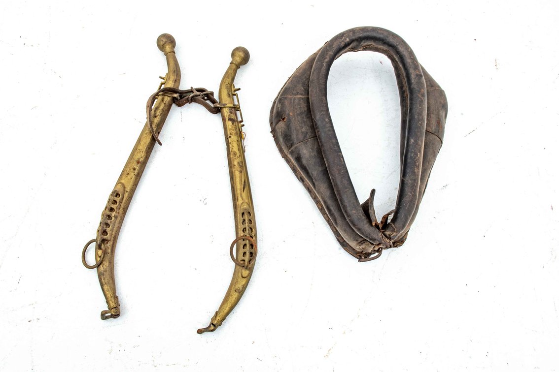 Horse Hames & Collar