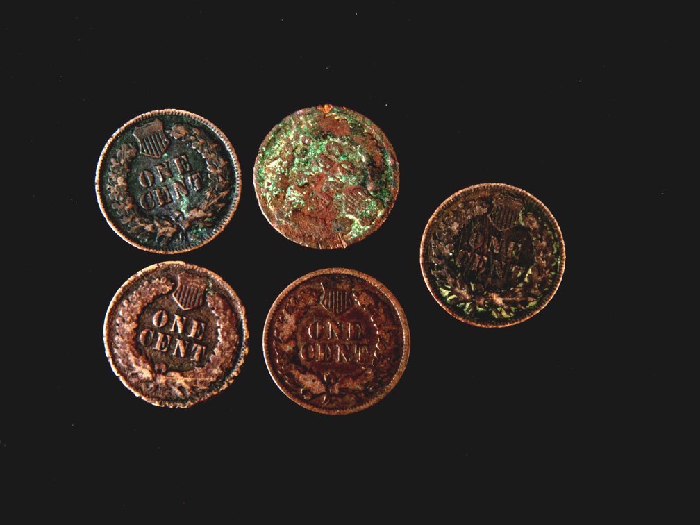 Indian Head Pennies