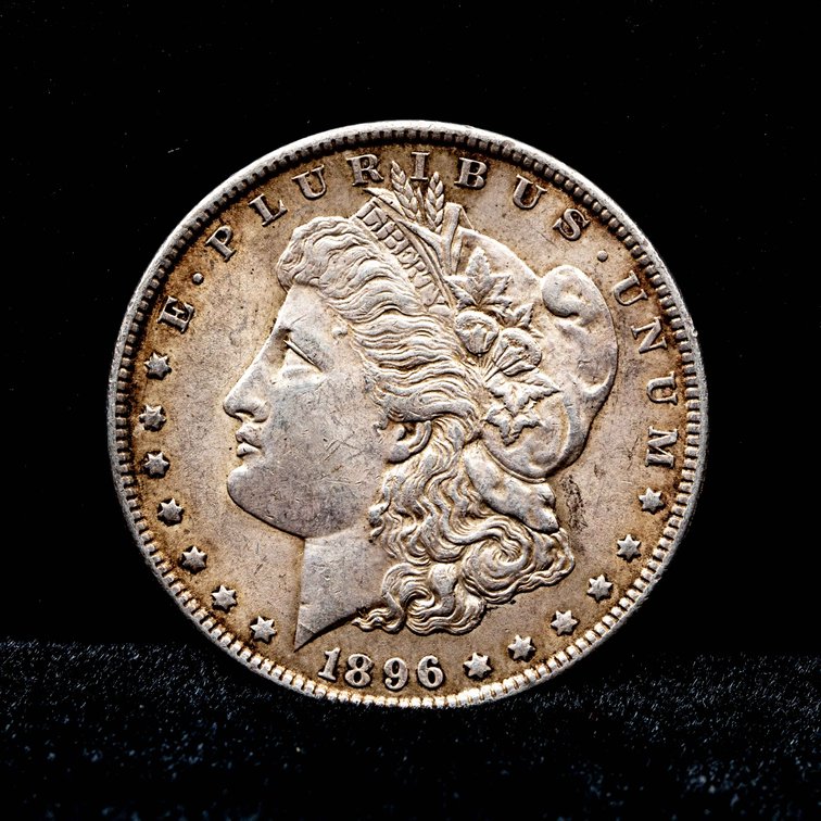 1896 Morgan Silver Dollar