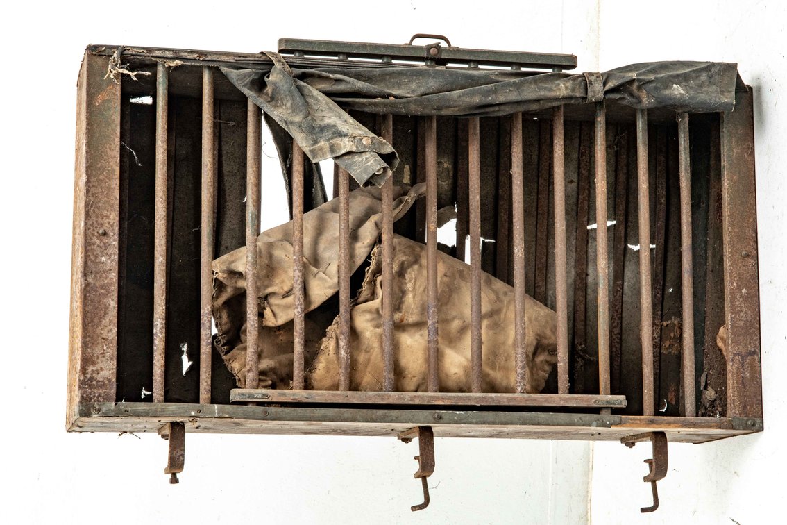 Bird-Dog's Palace- Model T Ford Exterior Dog Crate